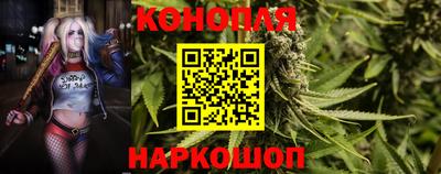 индика Мариинск