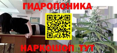 индика Мариинск