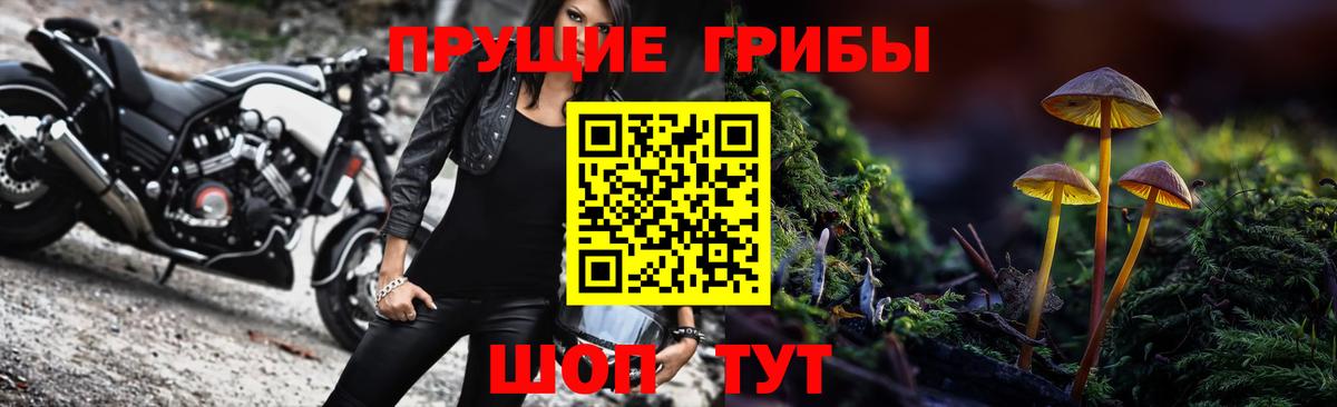 Псилоцибиновые грибы Magic Shrooms Губкин