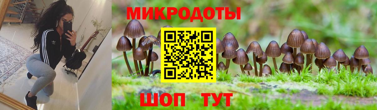 даркнет сайт  Вход с VPN  Губкин  Псилоцибиновые грибы Cubensis 
